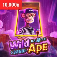 Email hỗ trợ benvip casino
