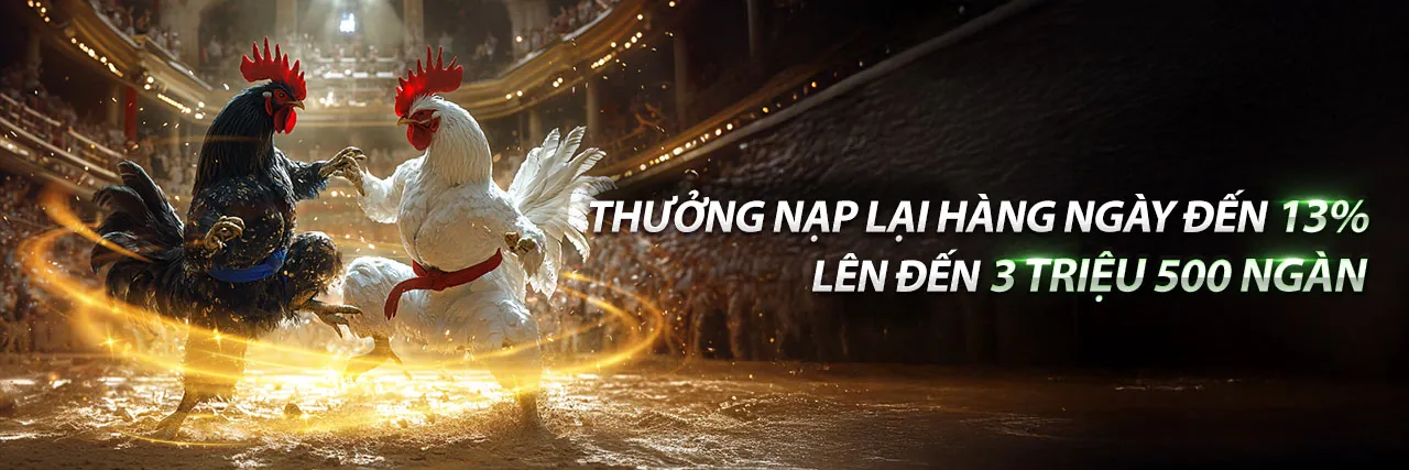 Đá gà trực tuyến Benvip Casino
