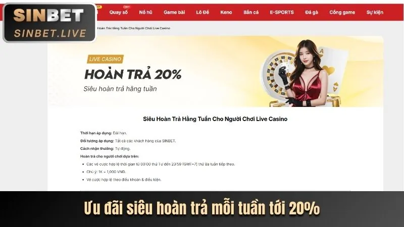 Hướng dẫn benvip casino cho người mới